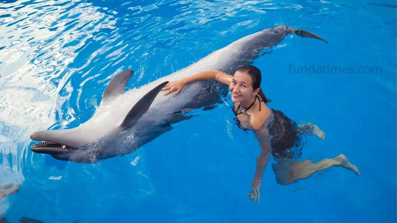 dolphin with a girl